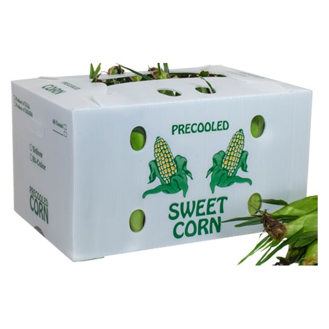 corn box