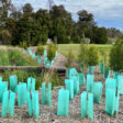 corex-tree-guards